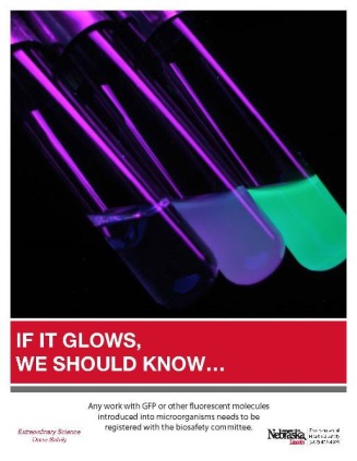 Image of flourescent materials safety poster