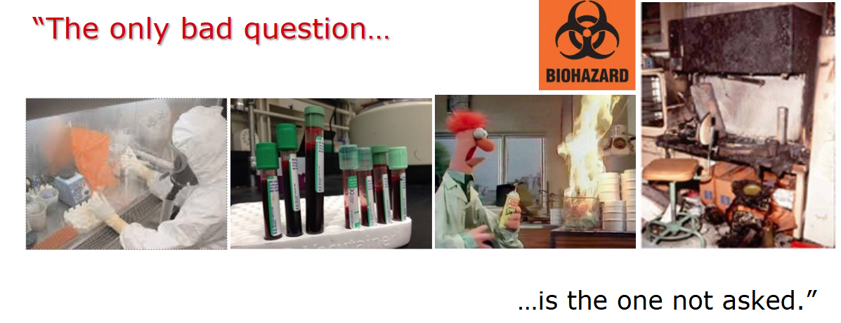 no bad questions examples