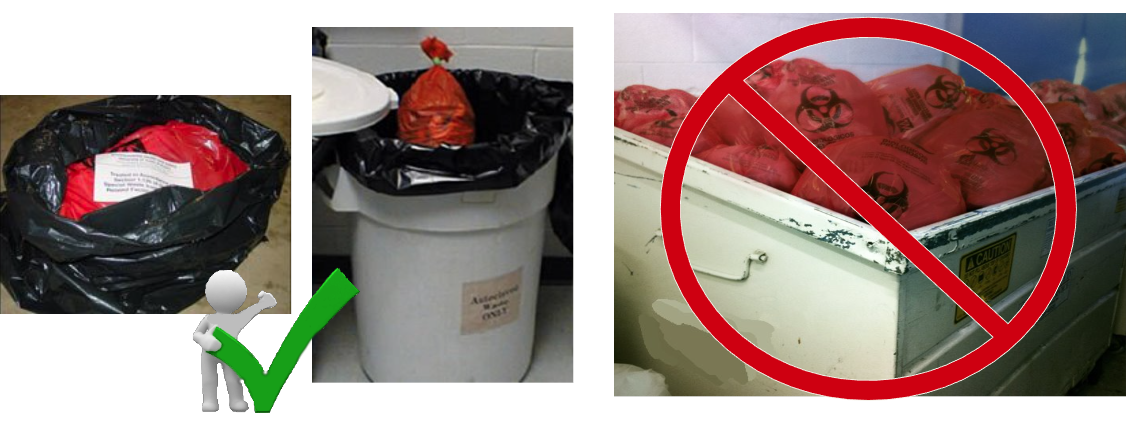 disposal of autocalved waste image