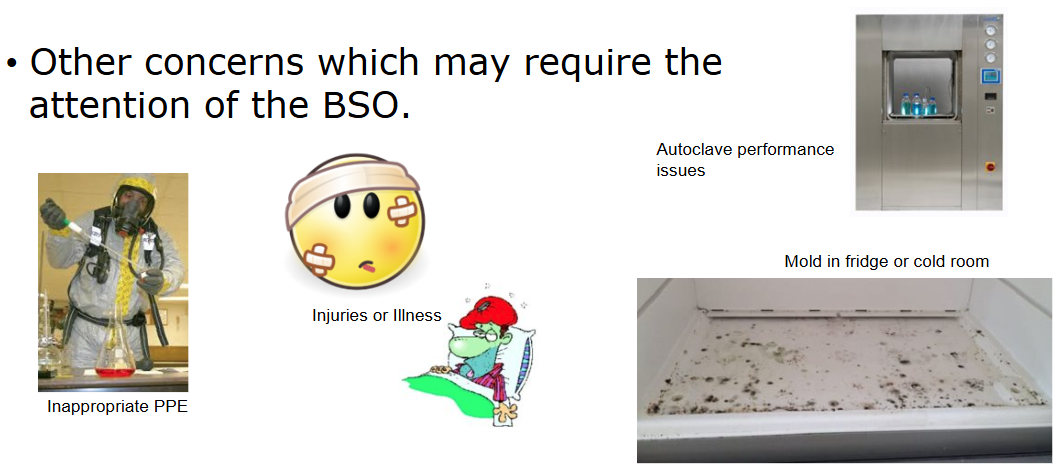 Other concerns examples