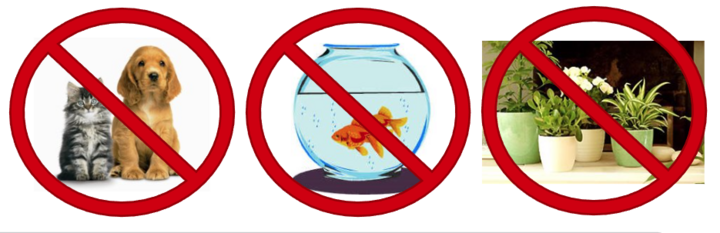 No animals or plants in the lab image