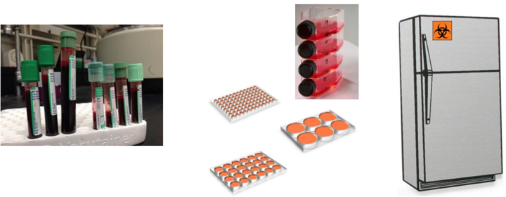Images of possible signs of human material waste