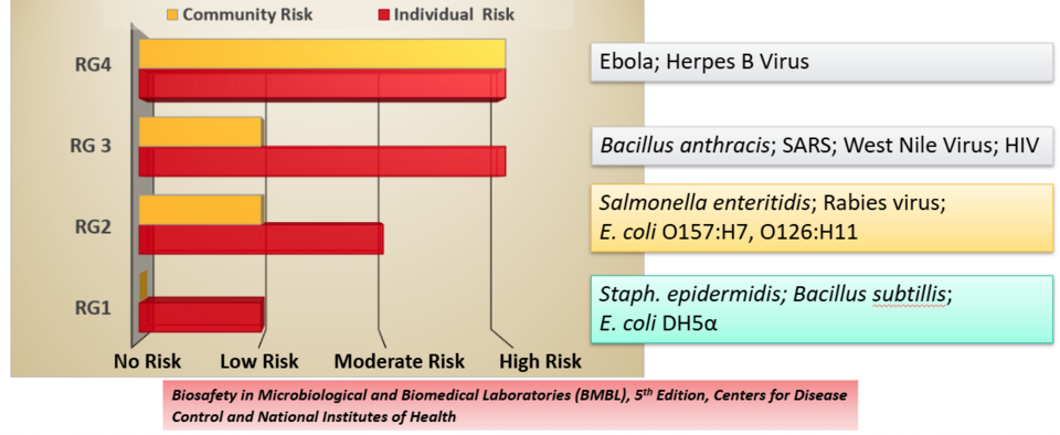 Risk Group (RG) Classifications | Environmental Health & Safety | Nebraska
